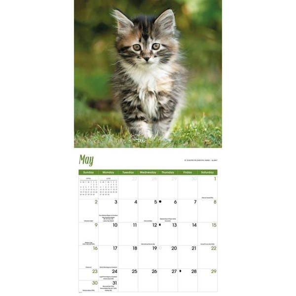Maine Coon Cats Calendar 2027, Wall Calendars, Month To View, Cats, Gift