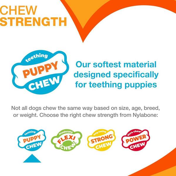 Nylabone Puppy Teething Chew Toy Pacifier, Bacon Flavour, Extra Small, Blue/Pink
