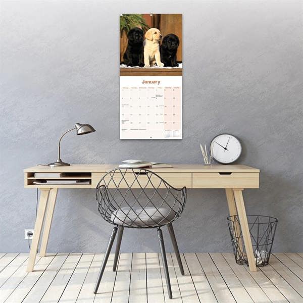 Labrador Retrievers Calendar 2027, Wall Calendars, Month To View, Dogs, Gift
