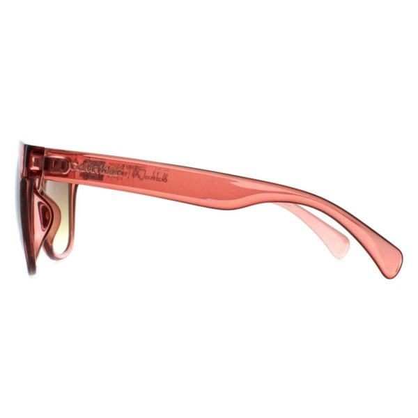 Calvin Klein Sunglasses CK22553S 210 Transparent Brown Brown Gradient