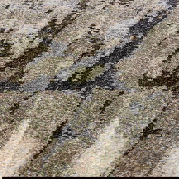 Asiatic Mirage Mineral Green Rug