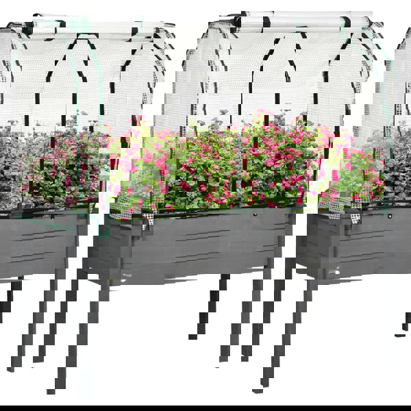 Raised Planter