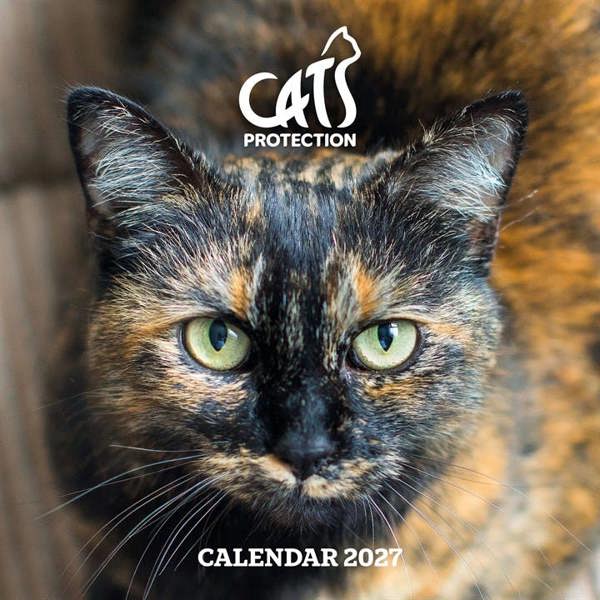 Cats Protection Calendar 2027, Wall Calendars, Month To View, Cats, Gift