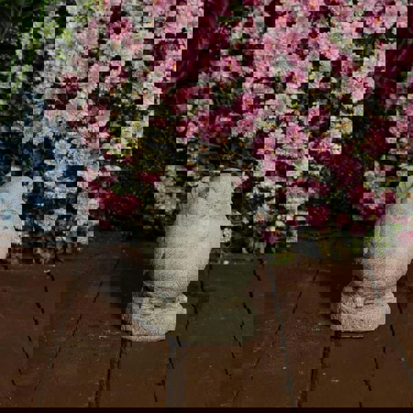 Adorable and Charming Stone Cast Robin Ornament 