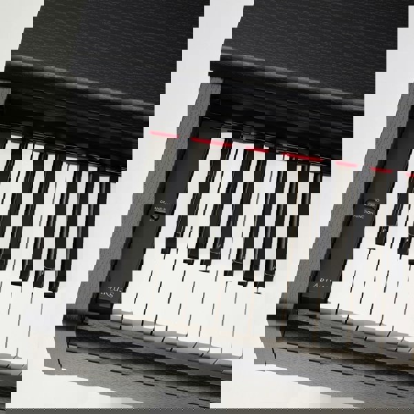 Yamaha YDP105 Digital Piano#Colour_Black