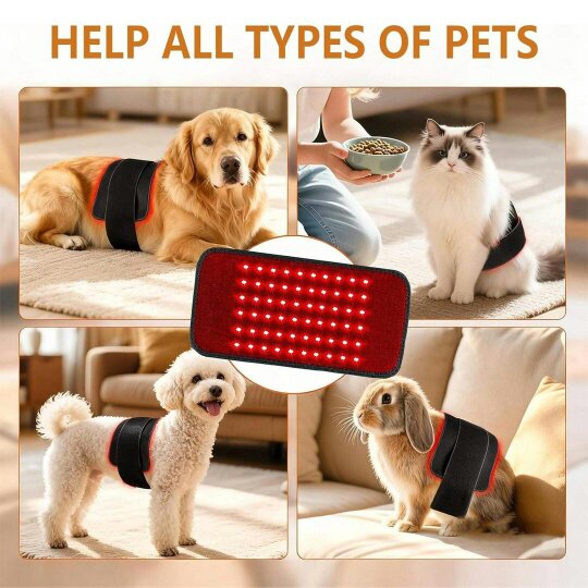 Havendro LED Red Light Therapy Belt 660nm 850nm Infrared Wrap