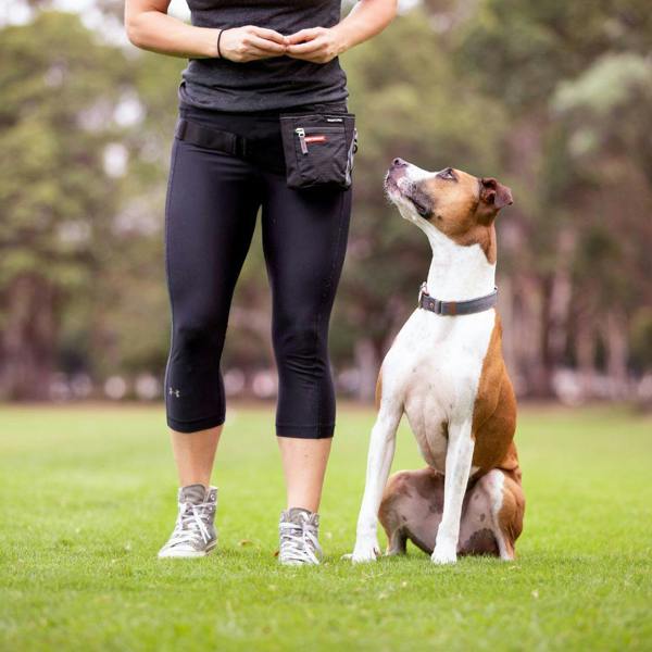 EzyDog SnakPak Pro Dog Training Treat Bag