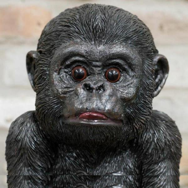 Baby Gorilla