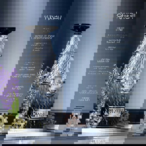 Anfar 1950 Odyssee III 100ml lifestyle ocean and note breakdown