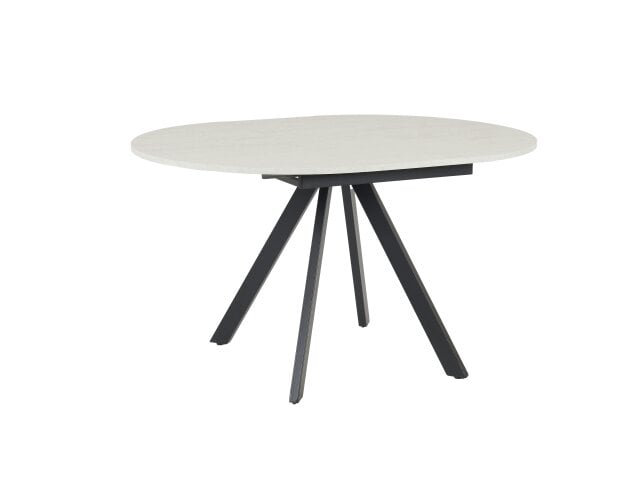 Outdoor Living Harley Extendable Dining Table