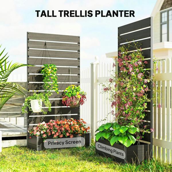 Tall black trellis planter box with climbing plants and dense leafy privacy screen
