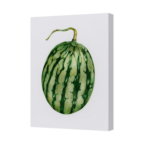 Benjamin Tate Design Watermelon Watercolor Canvas Art Print With Gallery Framed Display