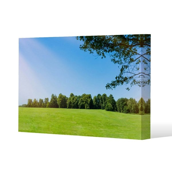 Benjamin Tate Design grass field with forest trees and environment public park with sun rays (Canvas Print)