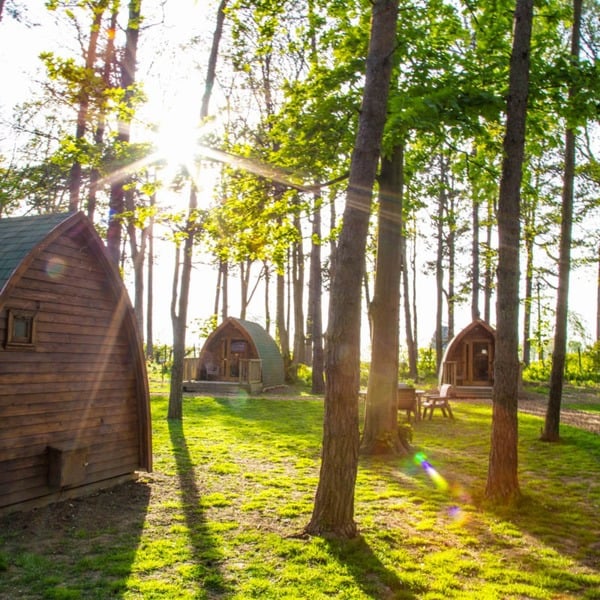 Virgin Experience Days Port Lympne Safari One Night Glamping Stay for up to Four