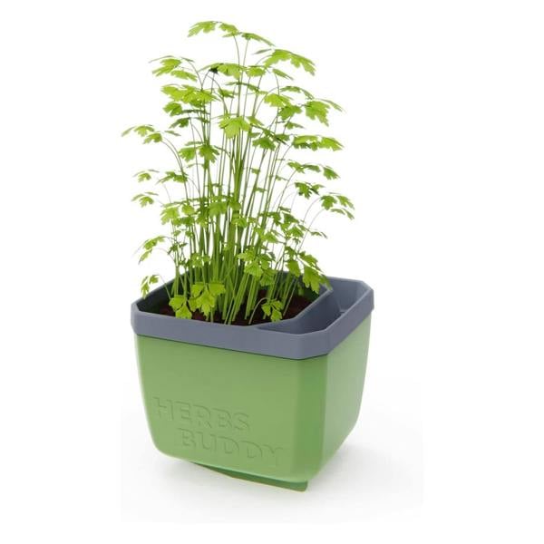 HERBS BUDDY herb pot with water reservoir - Dark Green