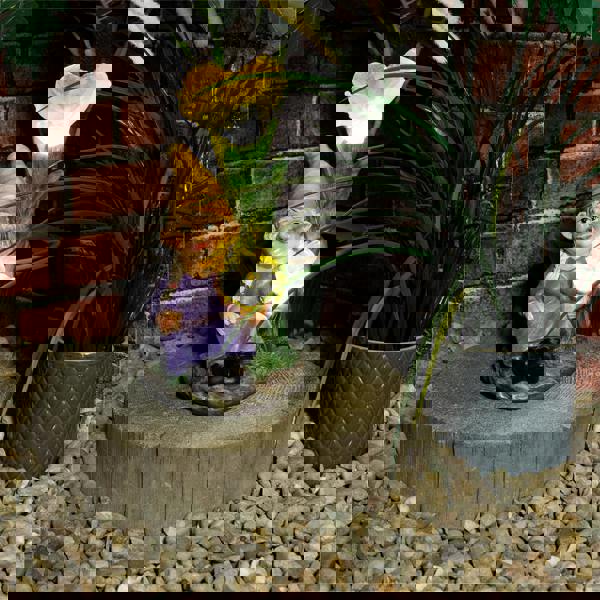 St Helens Female Gnome under light up Lilly