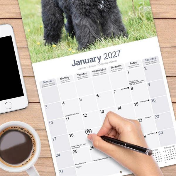 Bouvier Des Flandres Calendar 2027, Wall Calendars, Month To View, Dogs, Gift