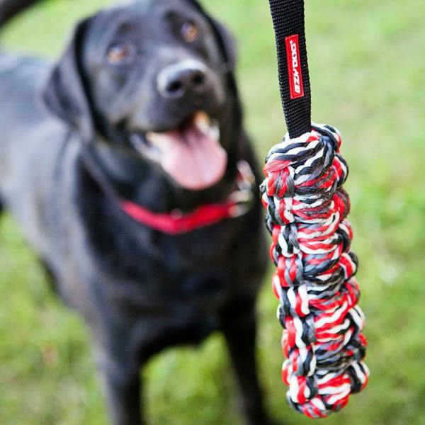 EzyDog Beaver Tail Floating Dog Toy