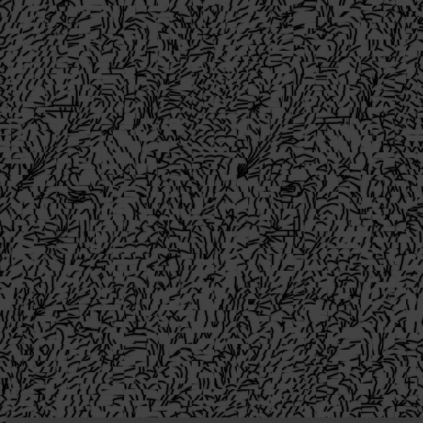 POP flocked wallpaper by Erica Wakerly in black flock on a dark grey background. From the Modern Flock wallpaper collection.