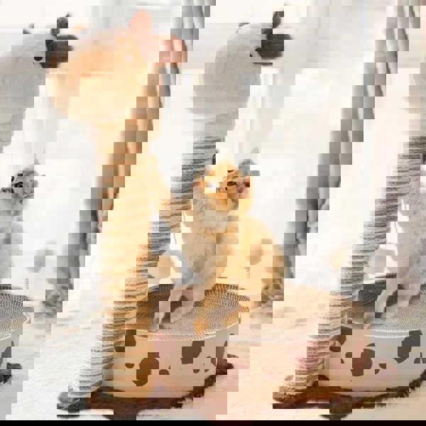 Dolomit Songway Cat Climber, Cat Tree-Weilai Concept-Weilai Concept