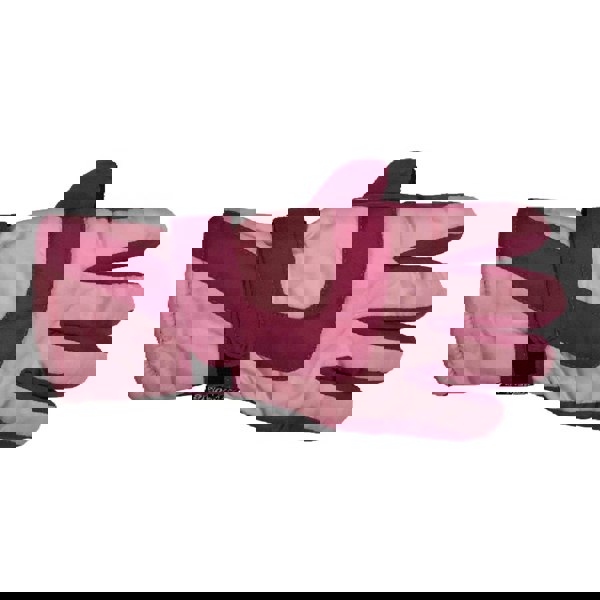 t4option1_1