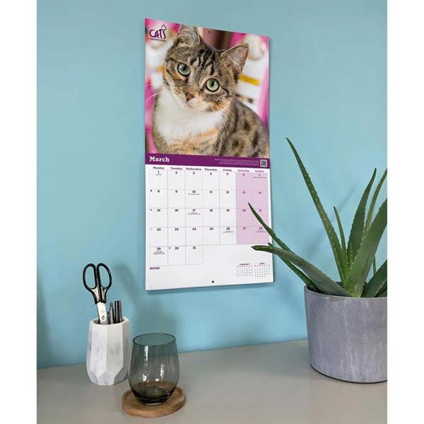 Cats Protection Calendar 2027, Wall Calendars, Month To View, Cats, Gift