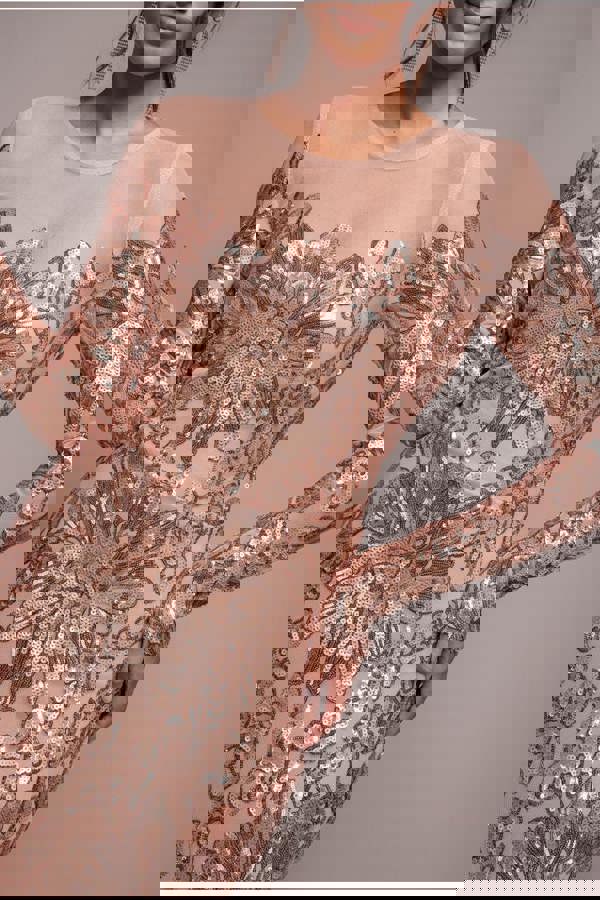 Floral Sequin Mesh Maxi - Champagne DR4041