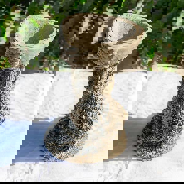 Small Adorable Squirrel And Nut Design Stonecast Bird Bath