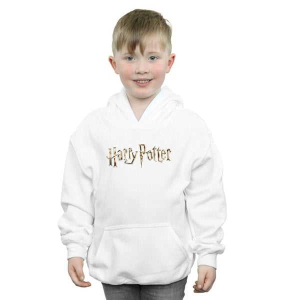 Harry Potter Boys Full Colour Logo Hoodie - White