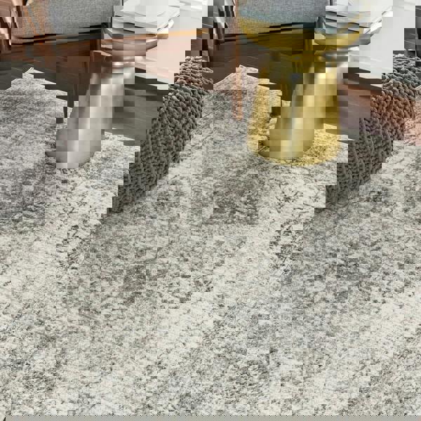 Livabliss Monte Carlo-Vintage Grey White Charcoal Traditional Boho Rug