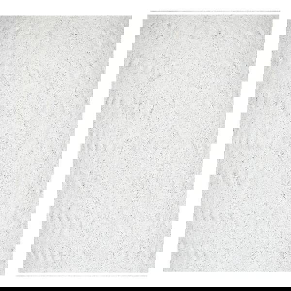 Hill Interiors Ashen Tall Vase - White - 