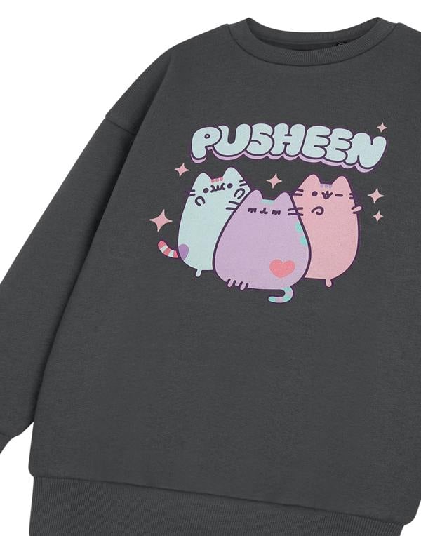 Vanilla Underground Pusheen Girls Grey Pastel Sweatshirt