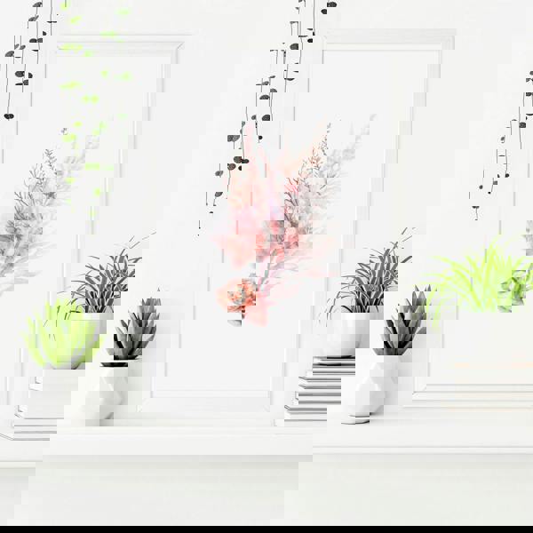 Framed Pictures For The Bathroom | Set of 3 Seashells Wall art Prints