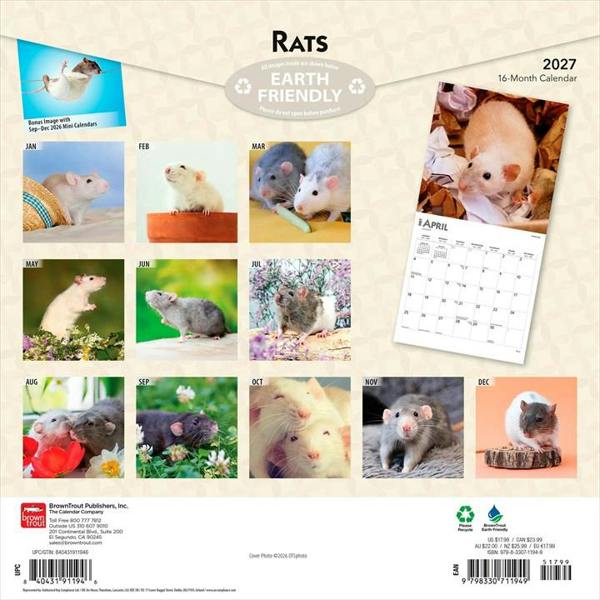 Rats Calendar 2027, Wall Calendars, Month To View, Animals, Gift
