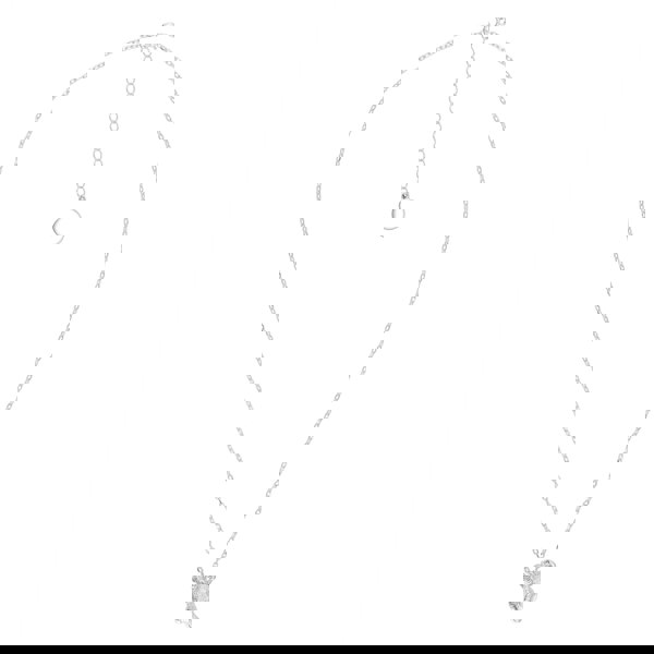 Mylee London Koala Silver Necklace - Personalised