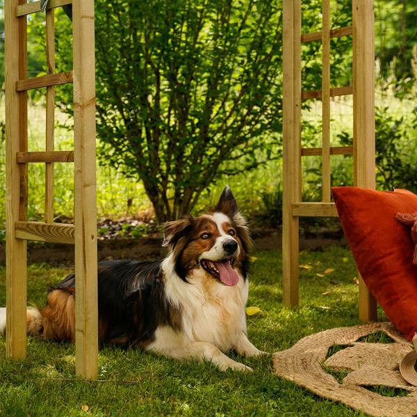 Cerland Passiflore Flat Top Garden Arch 2.14m Pressure Treated Wooden Arch