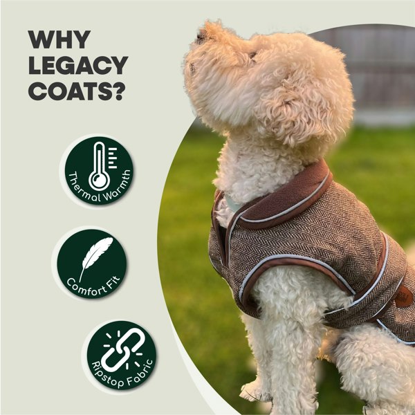 HugglePets Legacy Herringbone Dog Coat - HugglePets