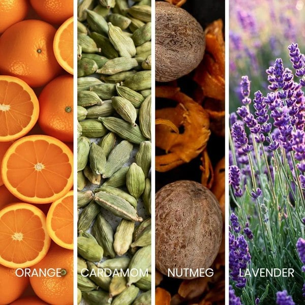 Sapil Bound 100ml Eau de Toilette note ingredients