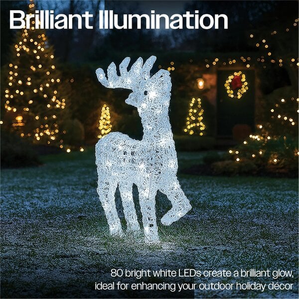Scotts of Stow Xmas Haus 54CM Acrylic LED Deer Christmas Holiday Festive Decoration