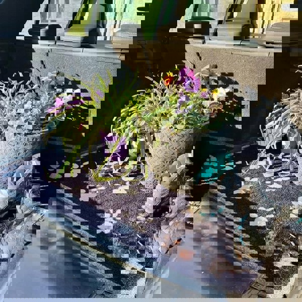 The Rugs Car Boot Paws Coir Doormat – 90×100 cm