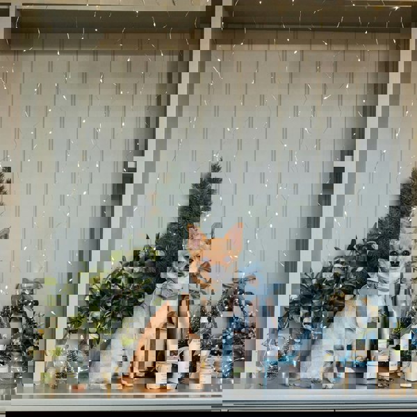 Radiance Reset Skincare Bundle