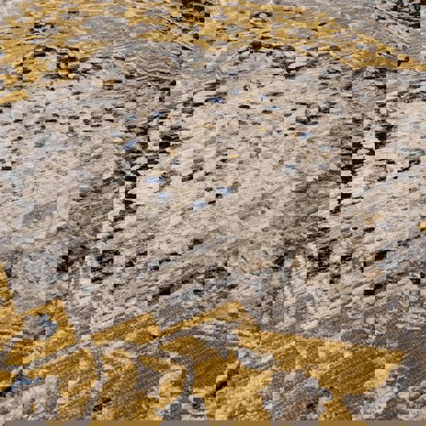 Asiatic Sovereign Gold Medallion Rug