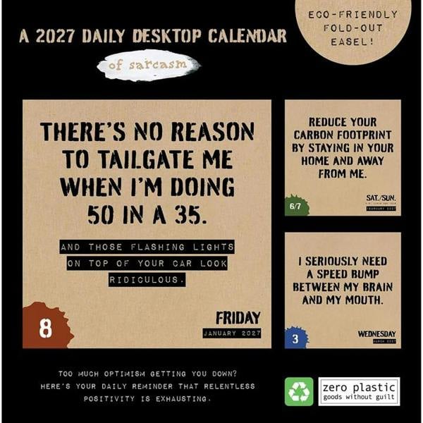 Daily Sarcasm, Don't Take Yourself So Seriously Desk Calendar 2027, Desk Calendars, Day To View, Humour, Gift