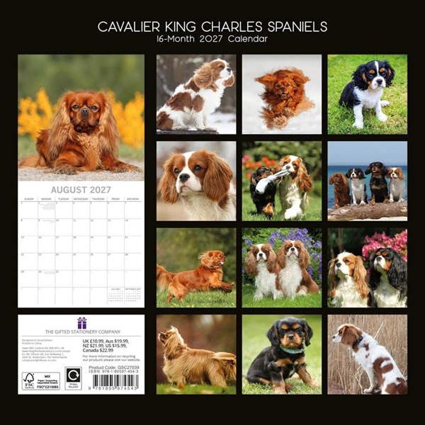 Cavalier King Charles Spaniels Calendar 2027, Wall Calendars, Month To View, Dogs, Gift