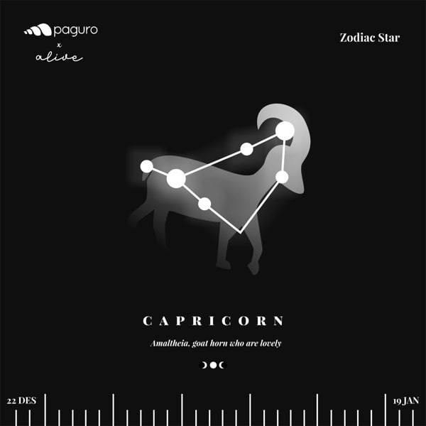 Paguro Capricorn Zodiac Sign Sustainable Necklace