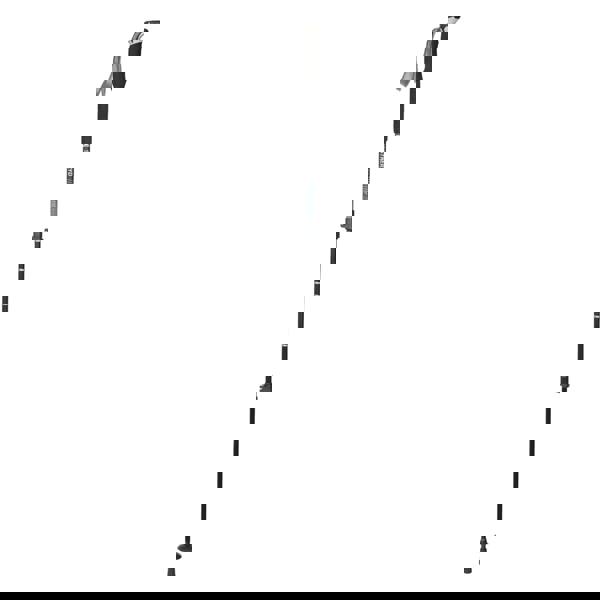 Trespass Stryder 2 Piece Walking Pole Set - Black - 