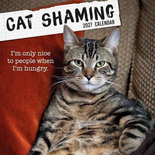 Cat Shaming Calendar 2027, Wall Calendars, Month To View, Cats, Gift