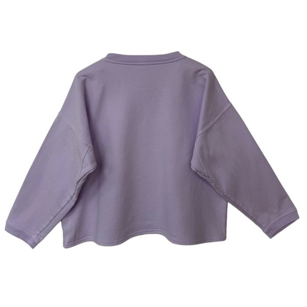 This is the back view of a loose round neck sweatshirt in lilac silhouetted against a white background. The shoulders are dropped and the long sleeves end with a narrow rib at the cuff. The garment is cropped to the waist and has no band around the hem.