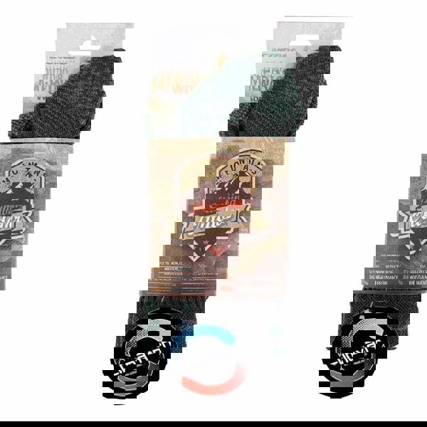 t4option1_3