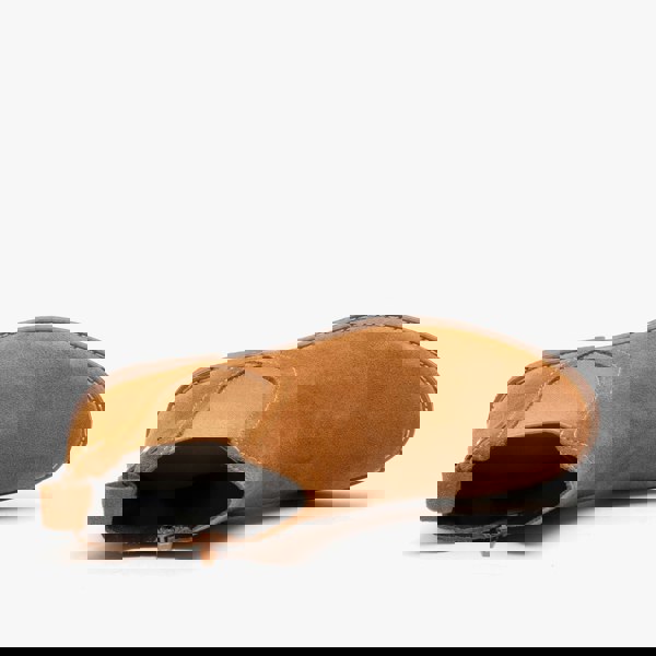 1600783921-95060600.jpg